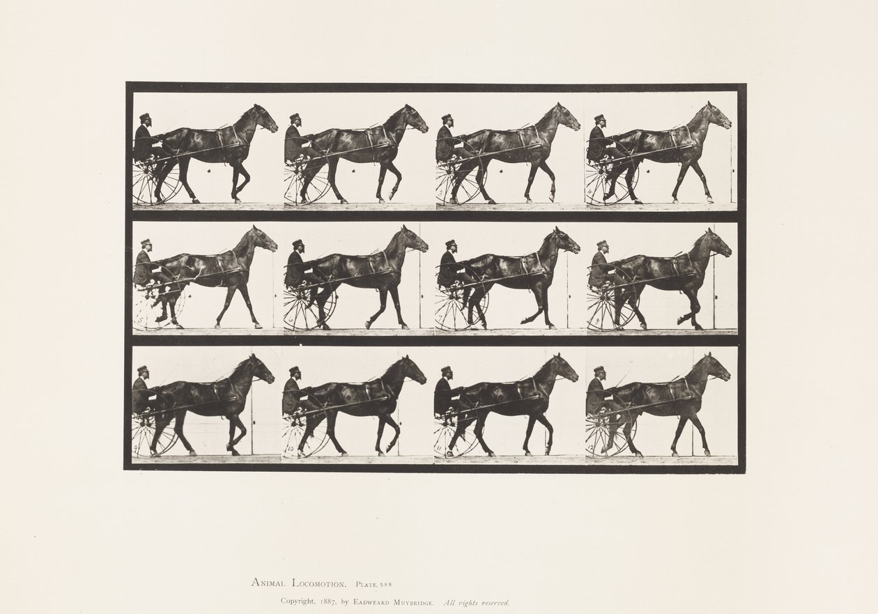 Camminare; Sulky; Cavallo Baio Reuben, 1885 da Eadweard Muybridge