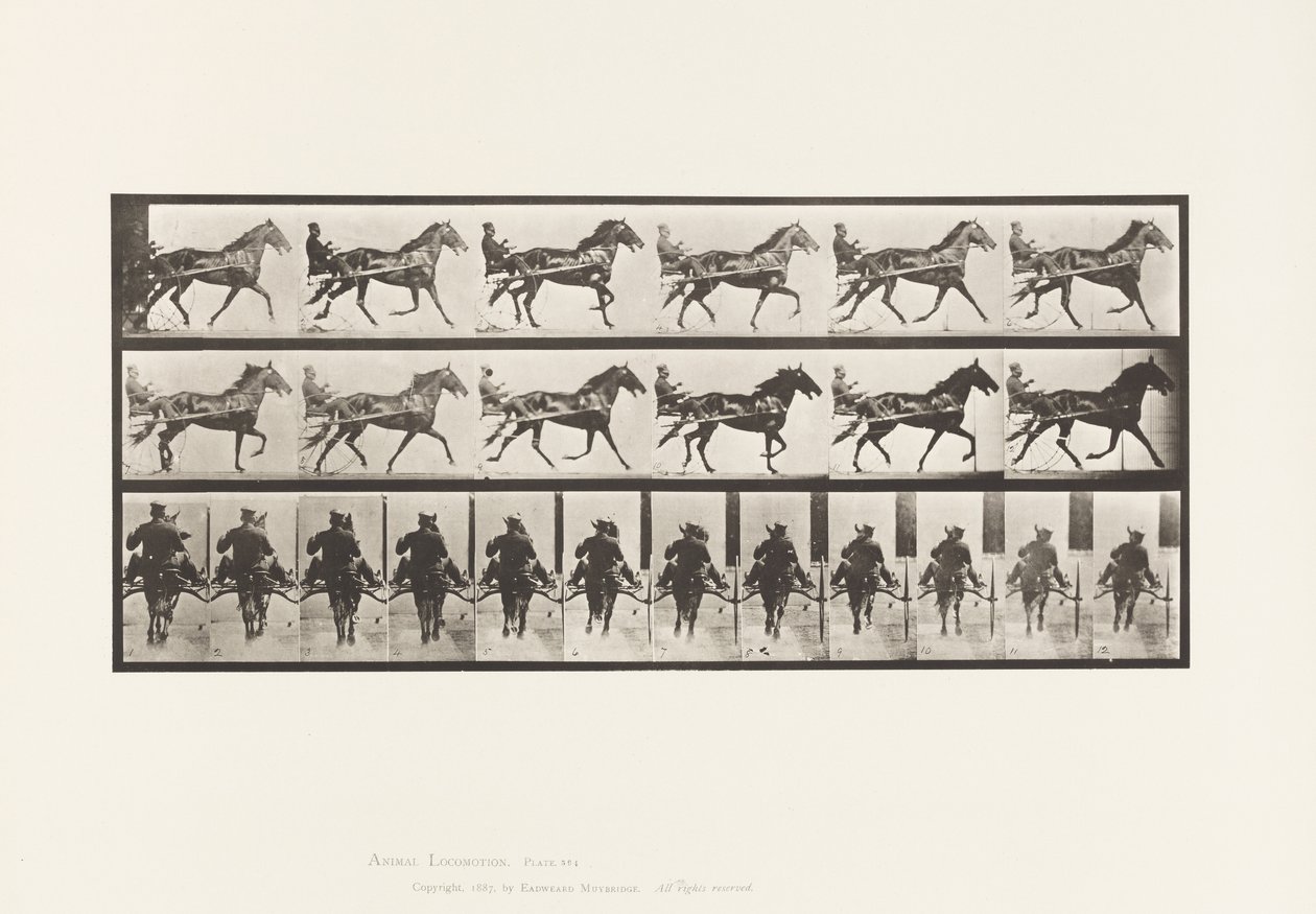 Tavola 594. Dondolamento (Passo): Sulky; Cavallo Marrone Pronto da Eadweard Muybridge