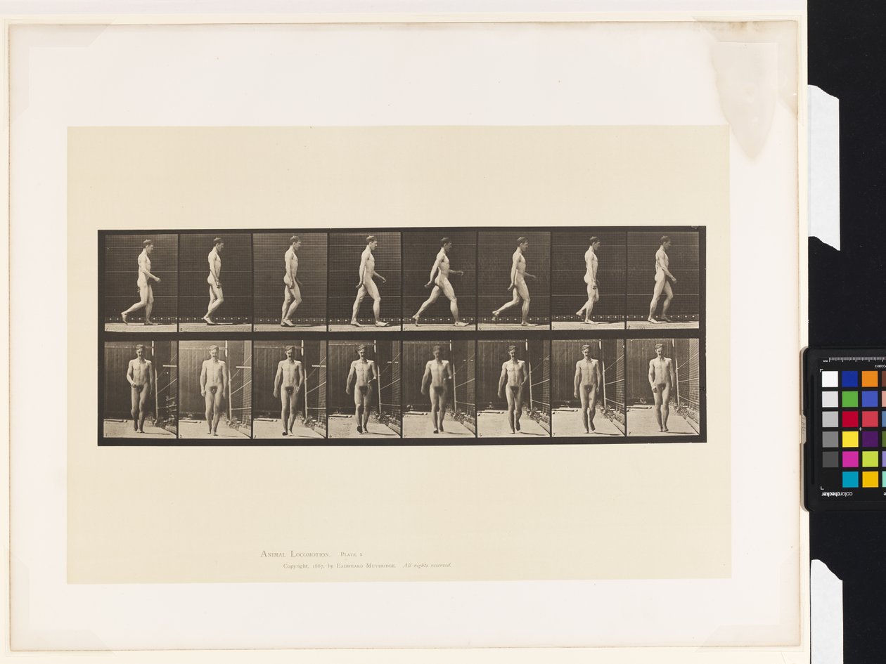 Tavola 5. Camminare da Eadweard Muybridge