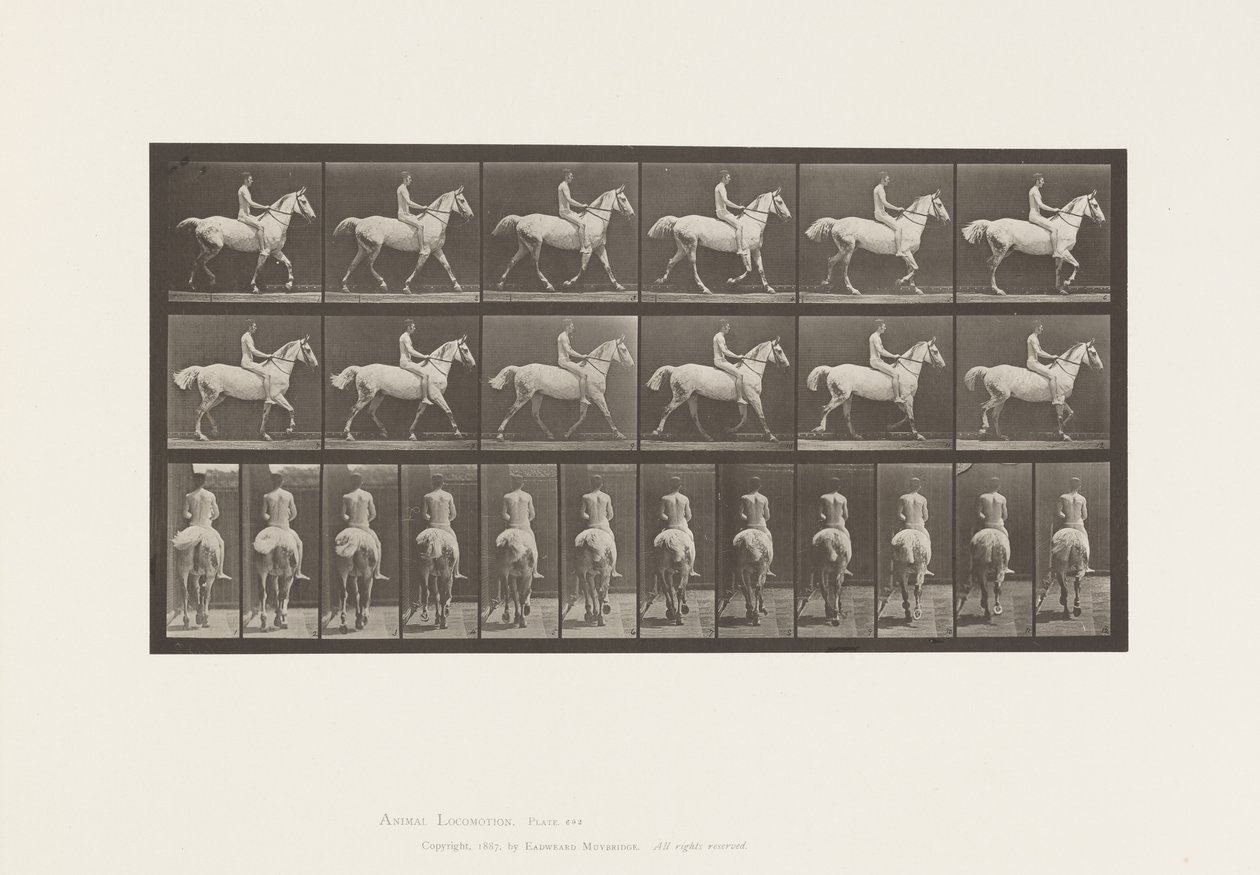 Tavola 602. Trotting; Bareback; Rider, 43, Nudo; Cavallo grigio chiaro Smith, 1885 da Eadweard Muybridge