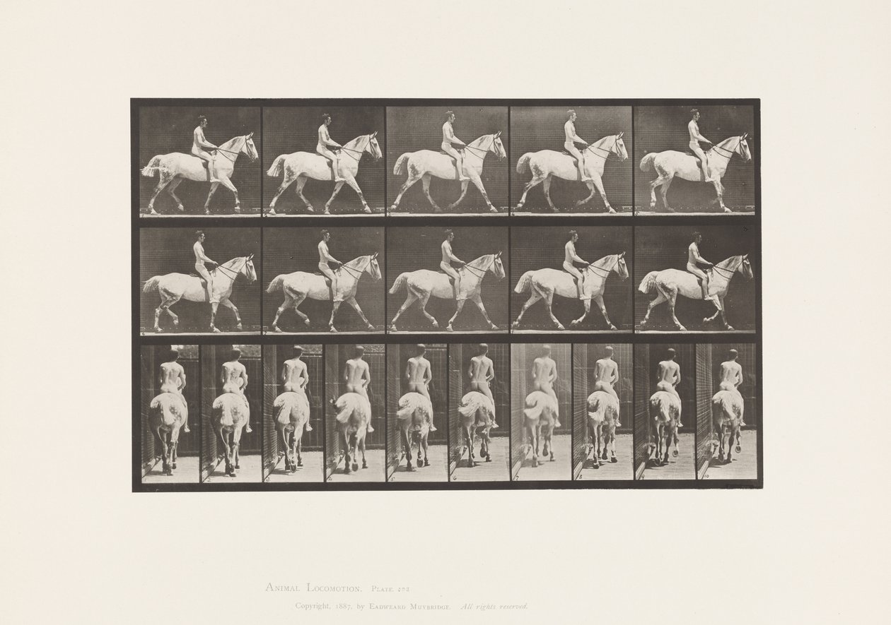 Tavola 603. Trotto; Sella; Cavallo Grigio Chiaro Smith da Eadweard Muybridge
