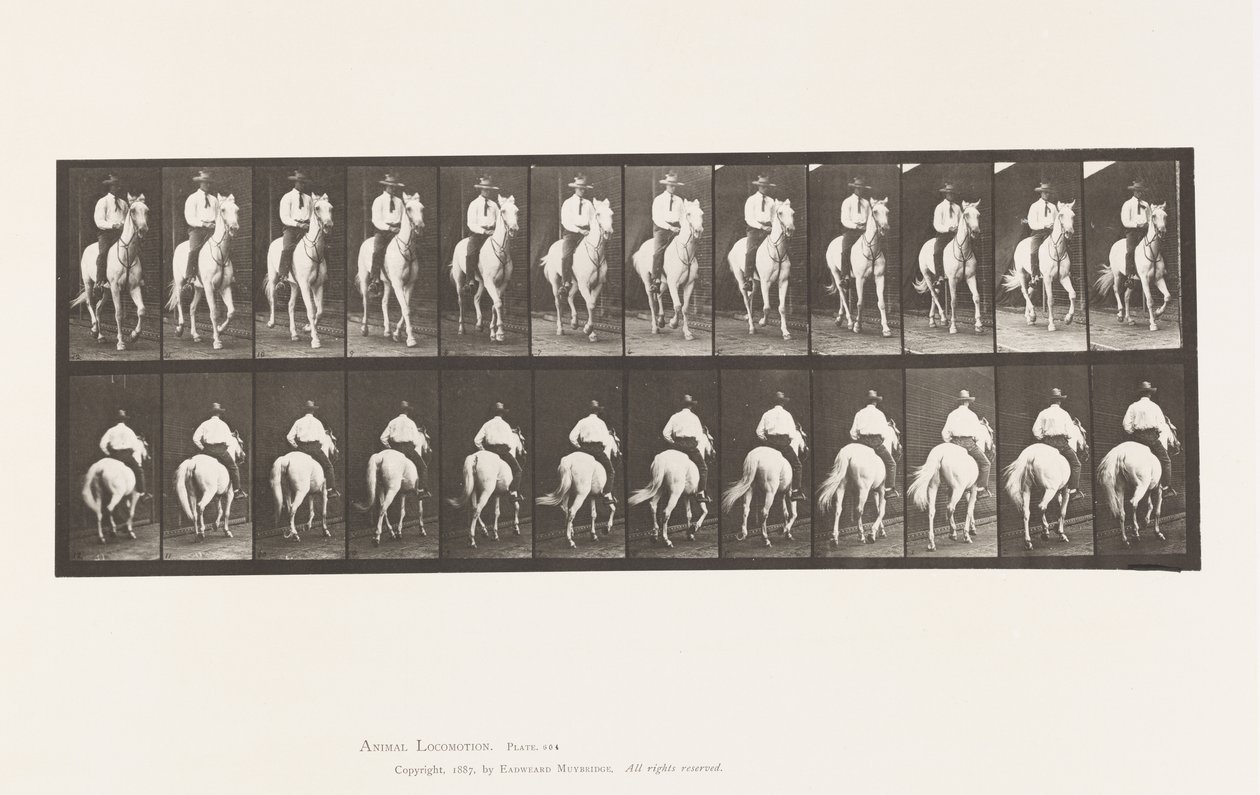 Tavola 604. Trotto; Sella; Cavallo Bianco Elberon da Eadweard Muybridge