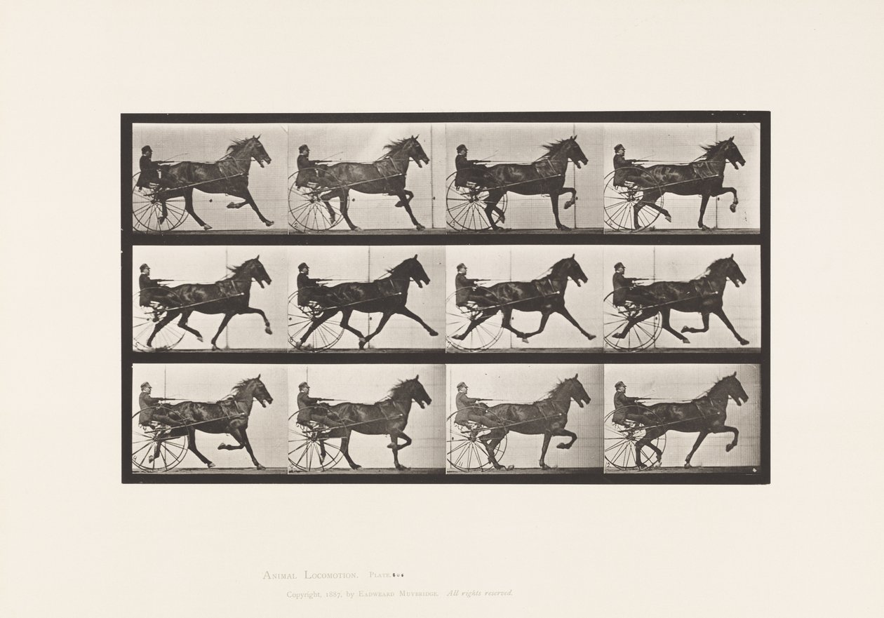 Tavola 606. Trotto; Sulky; Cavallo Baio Reuben da Eadweard Muybridge