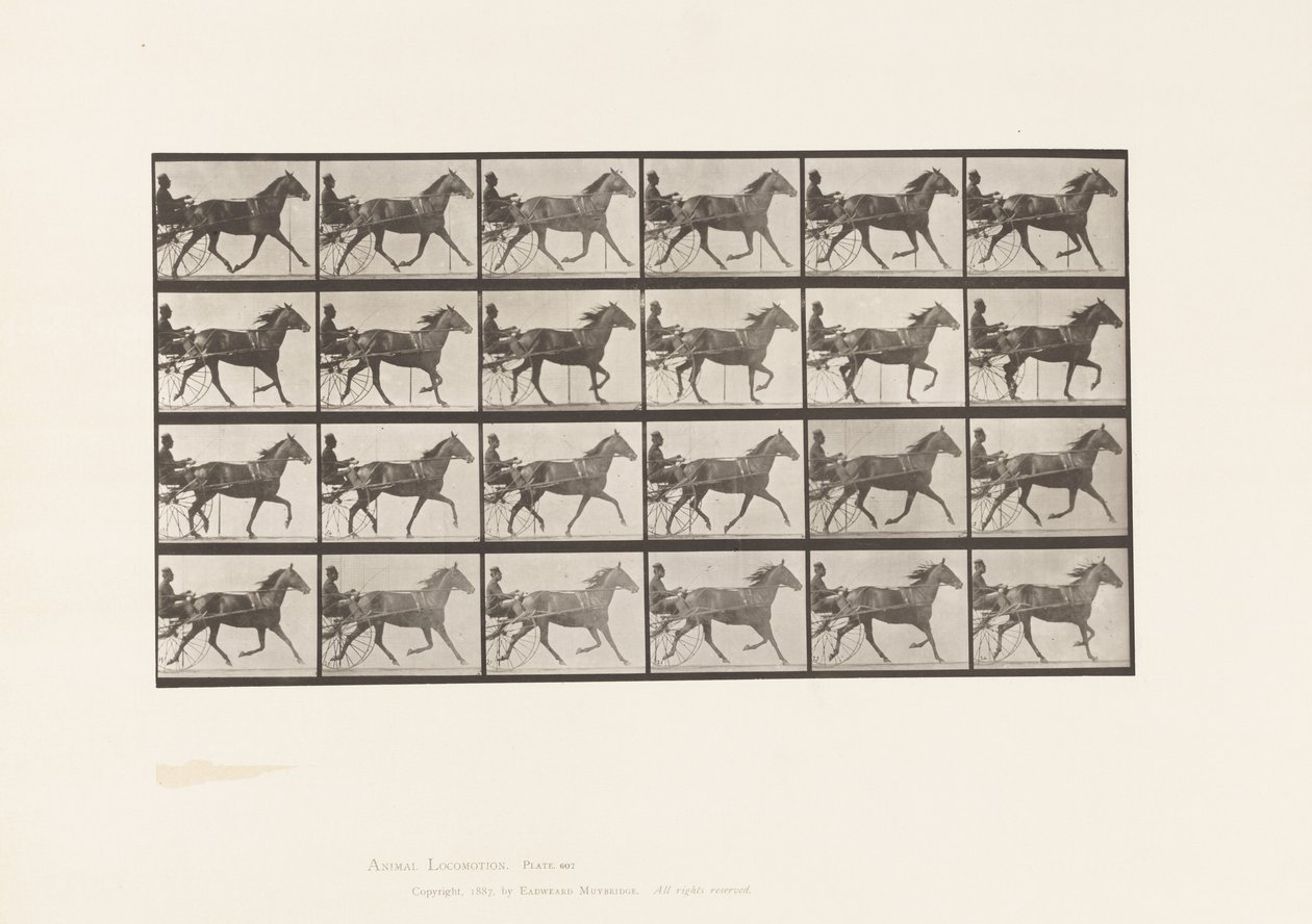 Tavola 607. Trotto; Sulky; Giumenta Baia, Lizzie M. da Eadweard Muybridge