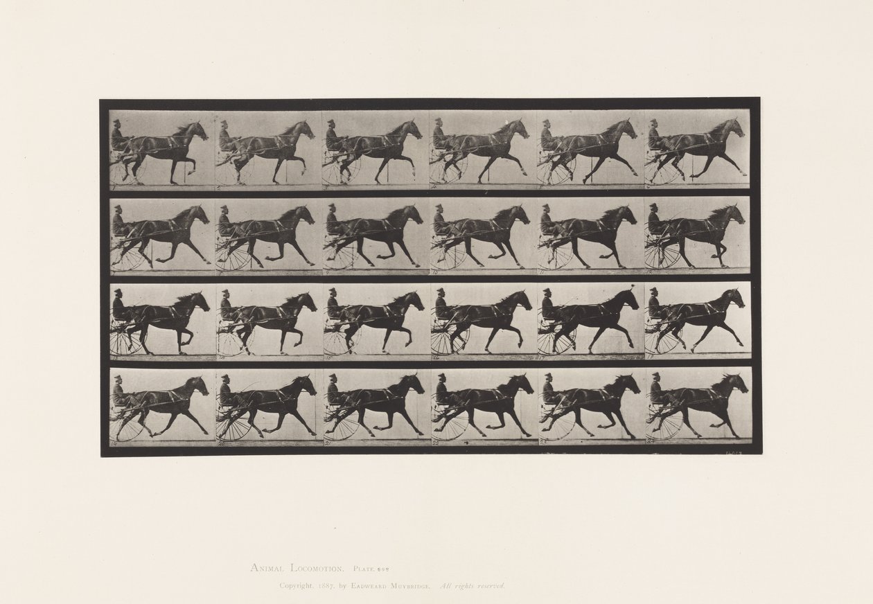 Tavola 608. Trotto; Sulky; Cavalla Sauro Flode Holden da Eadweard Muybridge