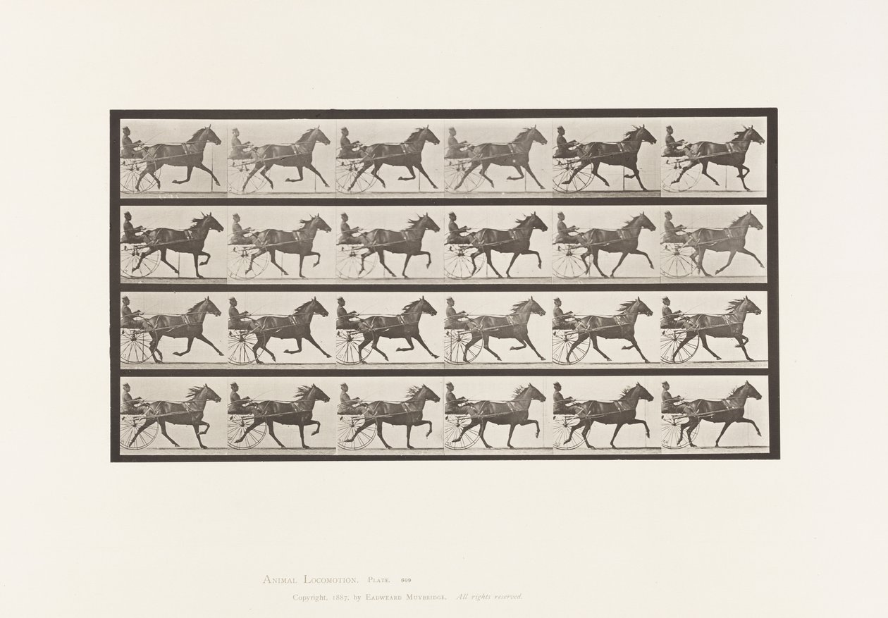Tavola 609. Trotto; Sulky; Cavalla Baia Lizzie M. da Eadweard Muybridge