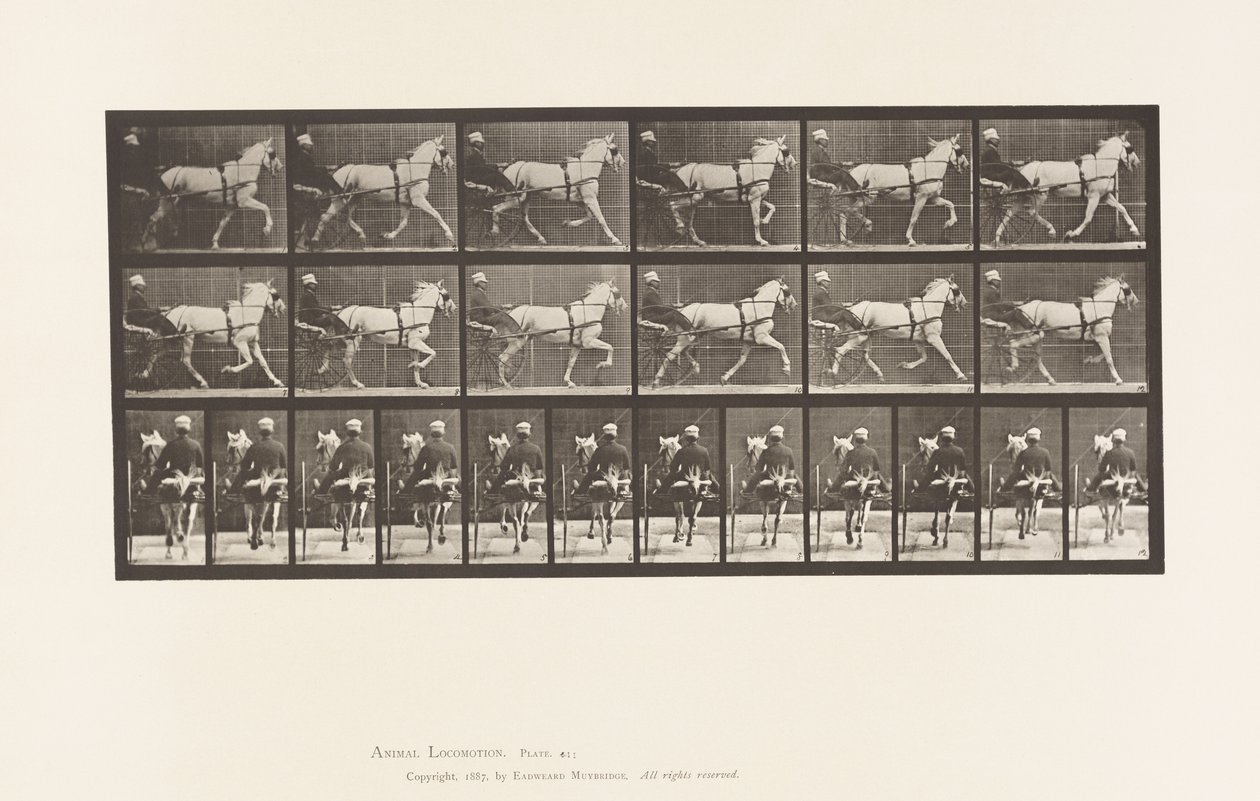 Tavola 611. Trotto; Sulky; Cavalla Grigia Katydid da Eadweard Muybridge