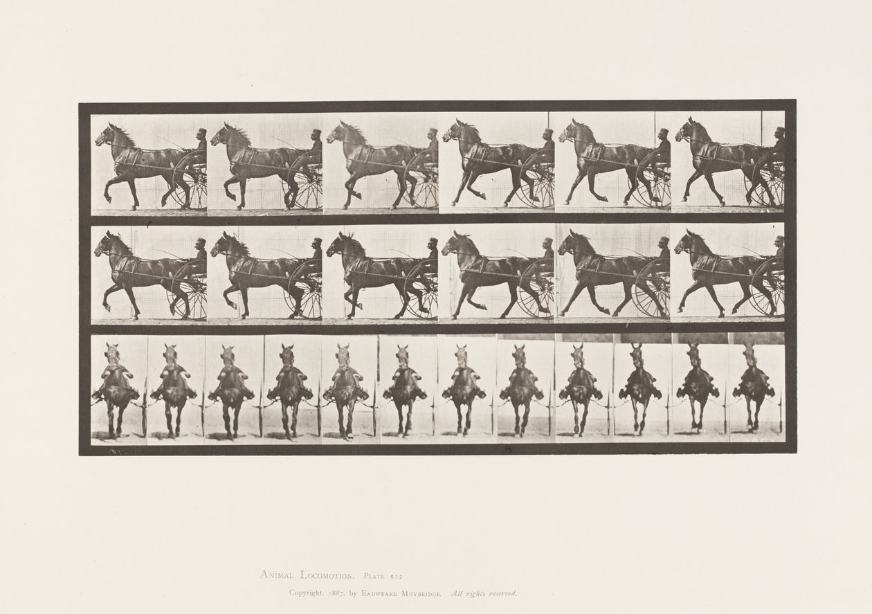 Tavola 612. Trotto; Sulky; Cavallo Baio Dereumd da Eadweard Muybridge