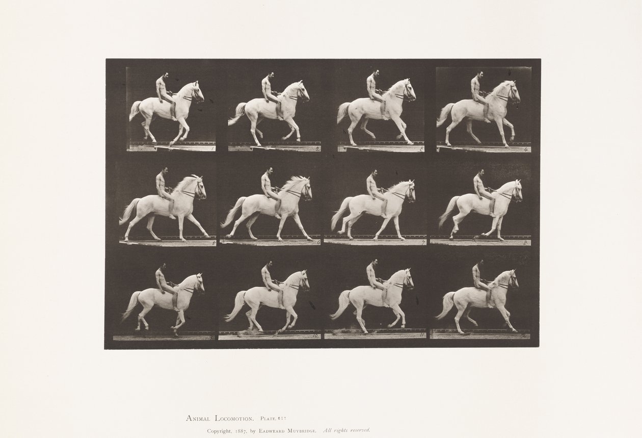 Tavola 617. Galoppo; Senza sella; Cavaliere, 106, Nudo; Cavallo bianco Clinton, 1885 da Eadweard Muybridge