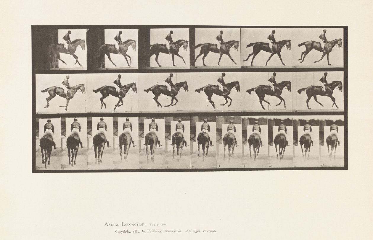 Tavola 620. Trotto; Sella; Cavalla Purosangue Baia Annie 6 da Eadweard Muybridge