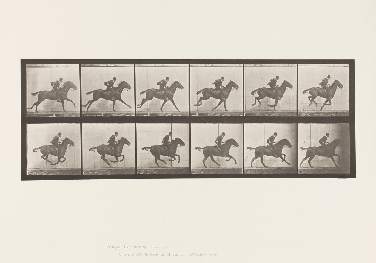 Tavola 624. Galoppo; Sella; Cavallo Baio Daisy da Eadweard Muybridge