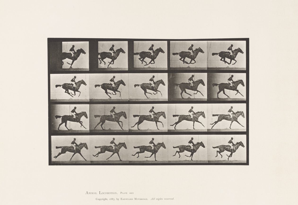 Tavola 627. Galoppo; Purosangue Baia Mare Annie G. da Eadweard Muybridge
