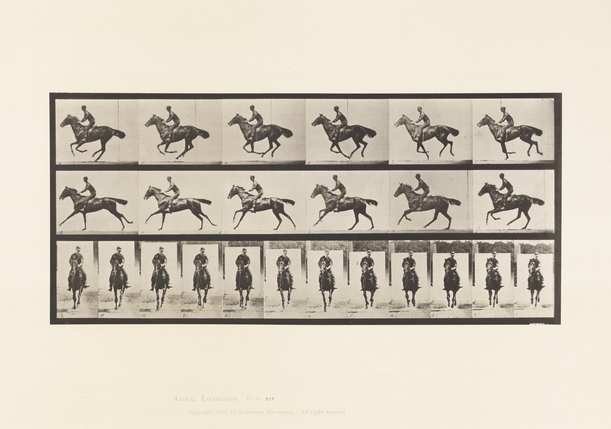 Tavola 632. Galoppo; Sella; Cavallo Purosangue Baio Bouquet da Eadweard Muybridge
