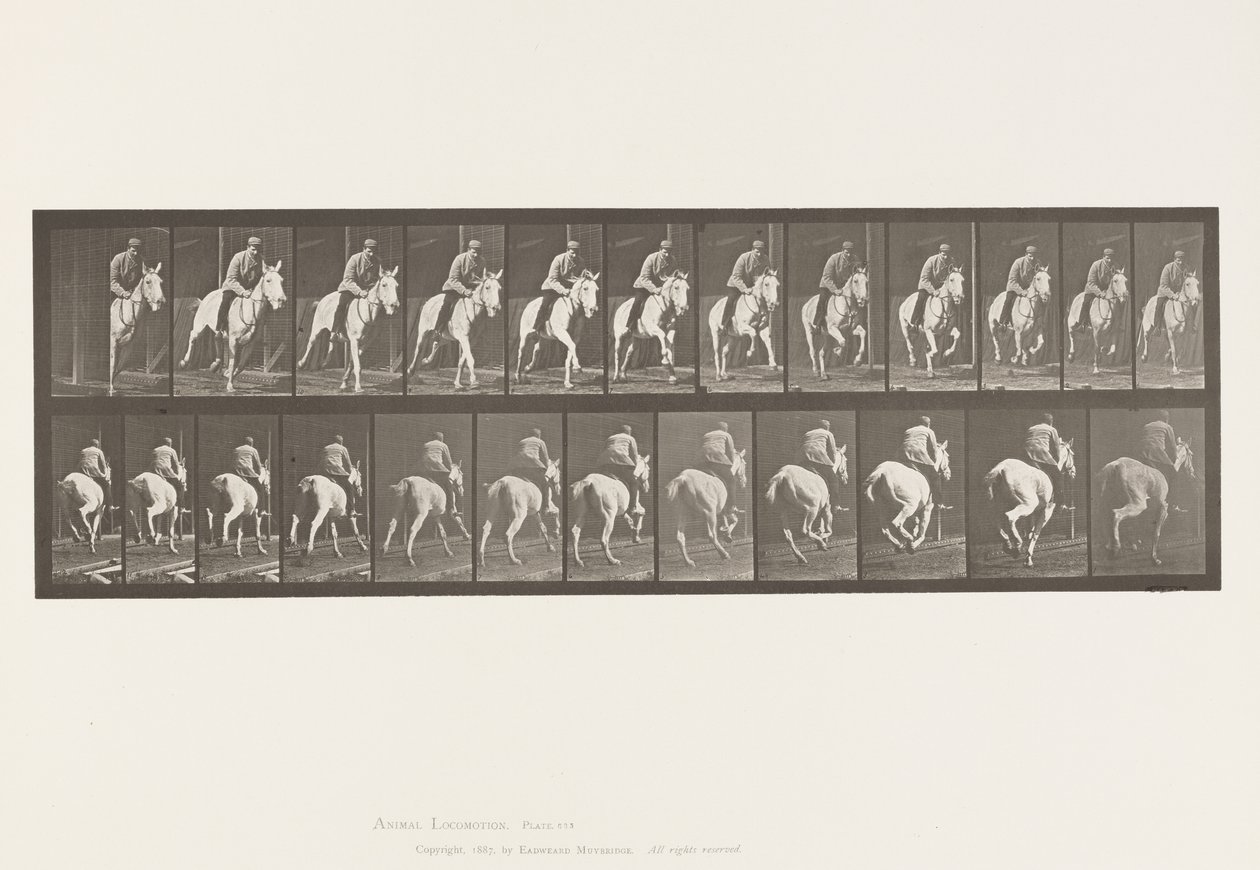 Tavola 635. Galoppo; Sella; Cavalla Grigia Pandora da Eadweard Muybridge