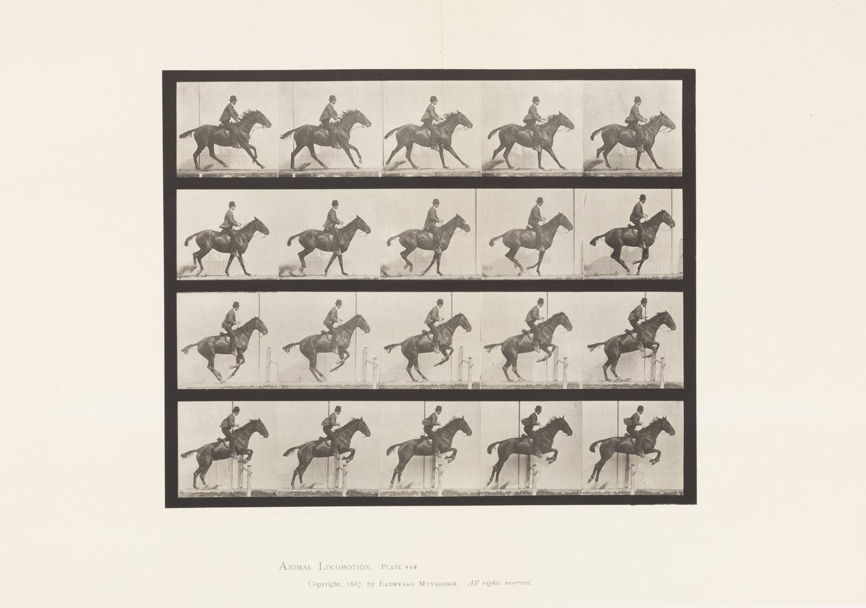 Tavola 636. Salto di un Ostacolo; Sella; Preparazione al Salto da Eadweard Muybridge