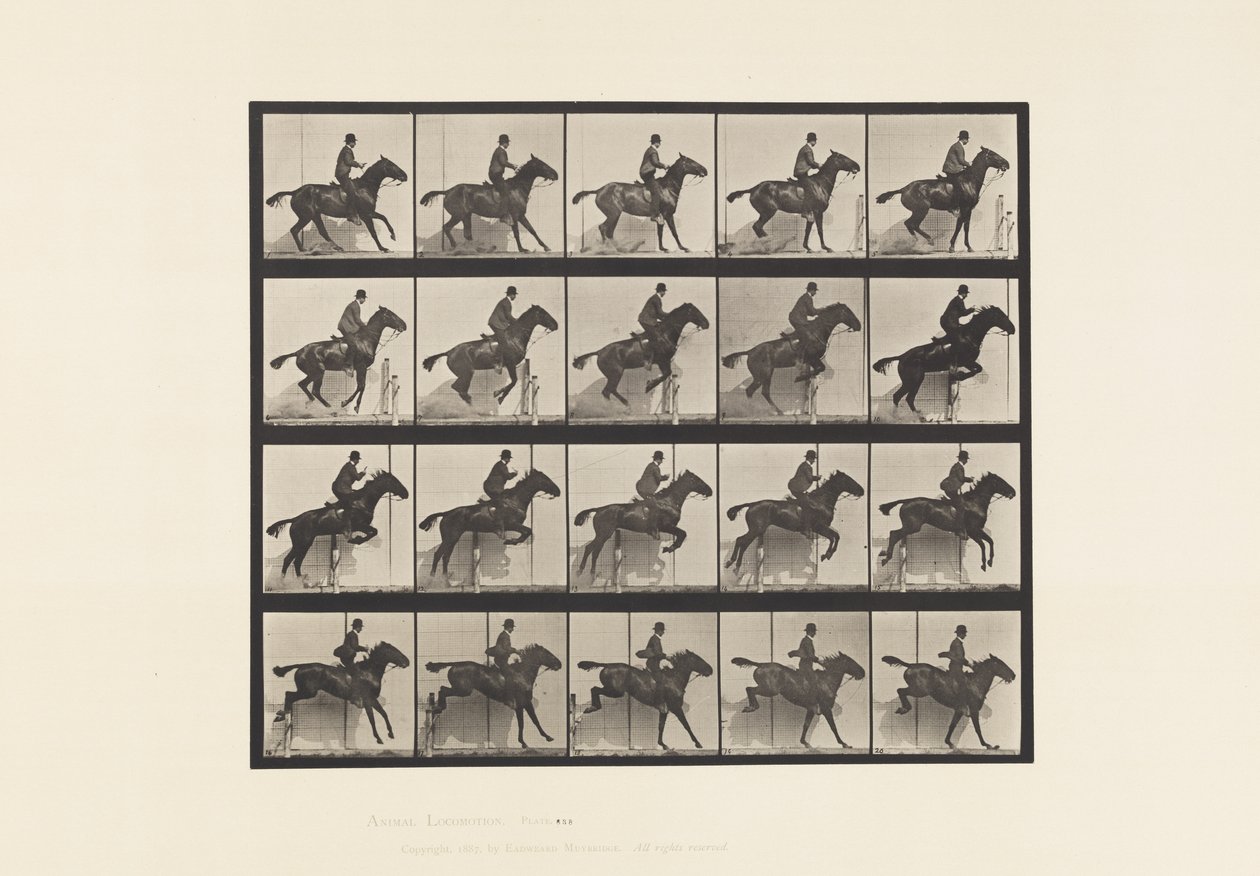 Tavola 638. Salto di un Ostacolo; Sella; Cavallo Baio Daisy da Eadweard Muybridge