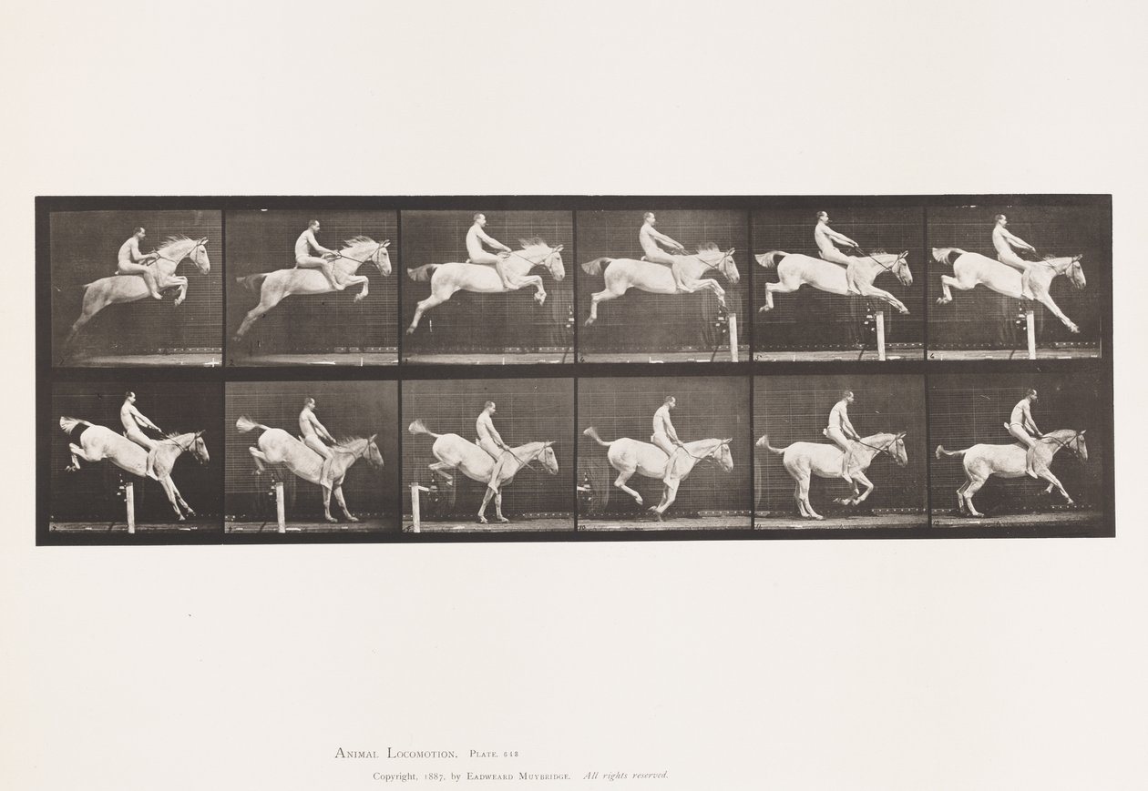 Piastra 643. Saltare un Ostacolo; Senza Sella; Superamento e Atterraggio da Eadweard Muybridge