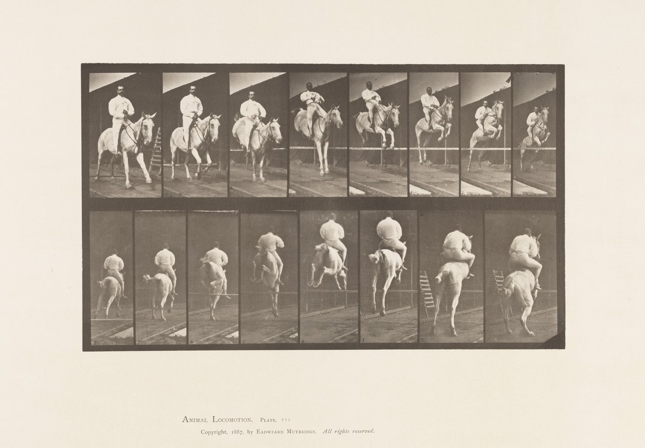 Piastra 644. Saltare un ostacolo; Sella; Superamento e atterraggio da Eadweard Muybridge