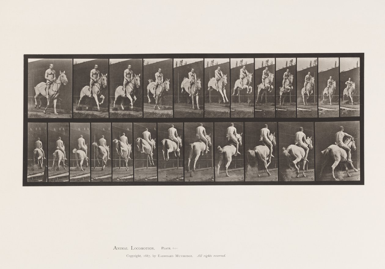 Piatto 646. Saltare un ostacolo; Sella; Cavaliere, 105, Nudo, 1885 da Eadweard Muybridge