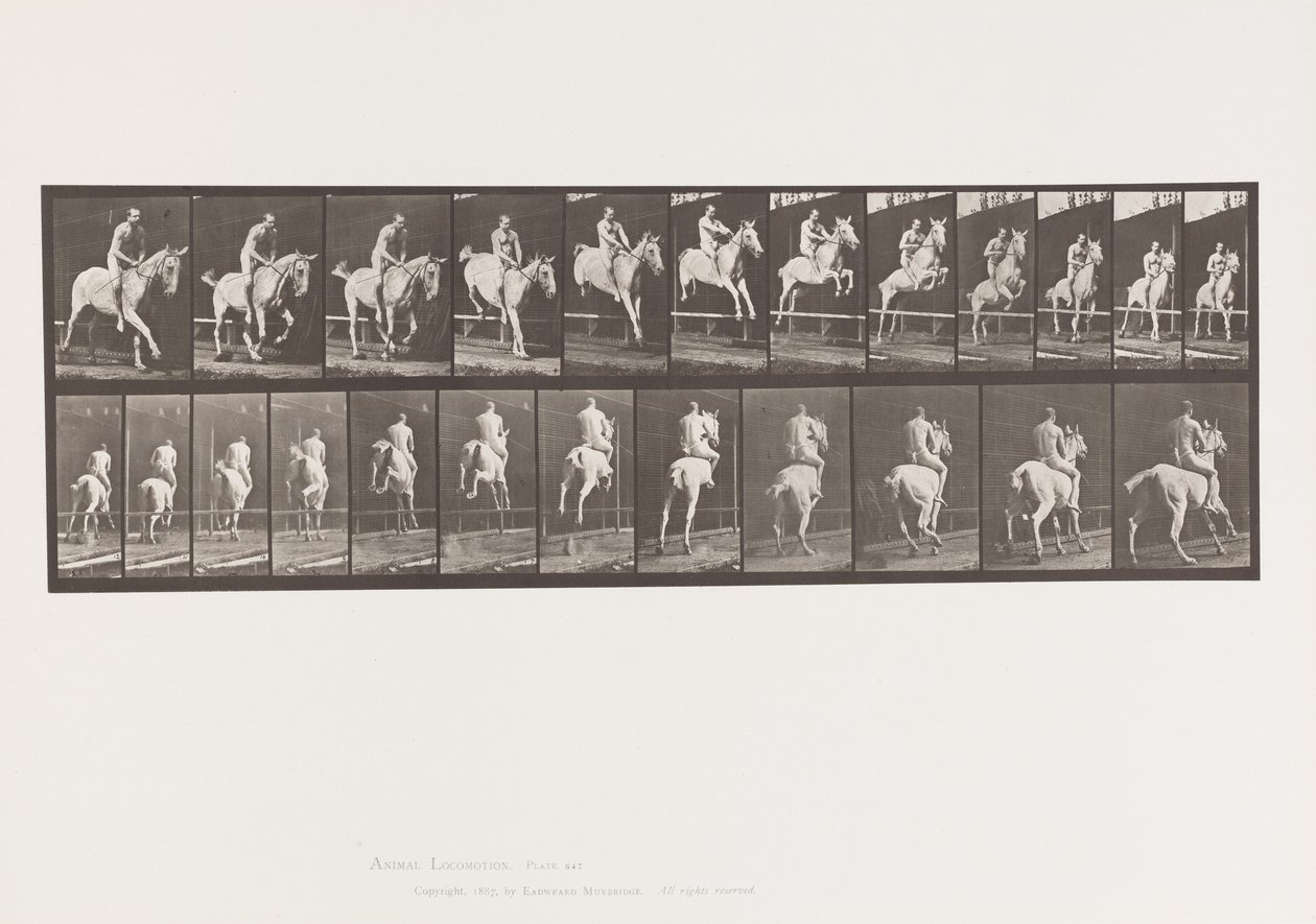 Tavola 647. Saltando un Ostacolo; Senza Sella; Cavaliere da Eadweard Muybridge