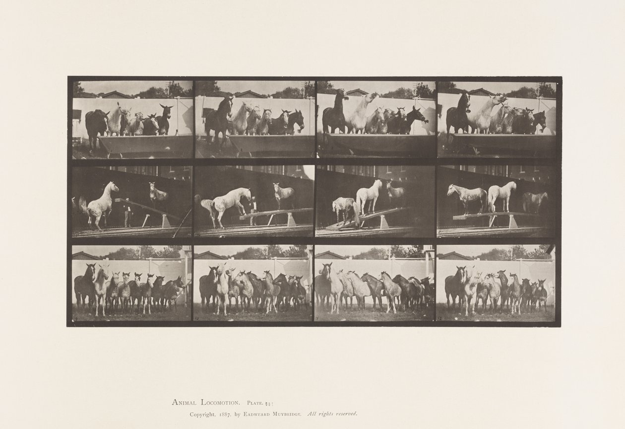 Piastra 651. A, Suonare la Campana; B, Tavola Oscillante; C, Addestramento Militare da Eadweard Muybridge