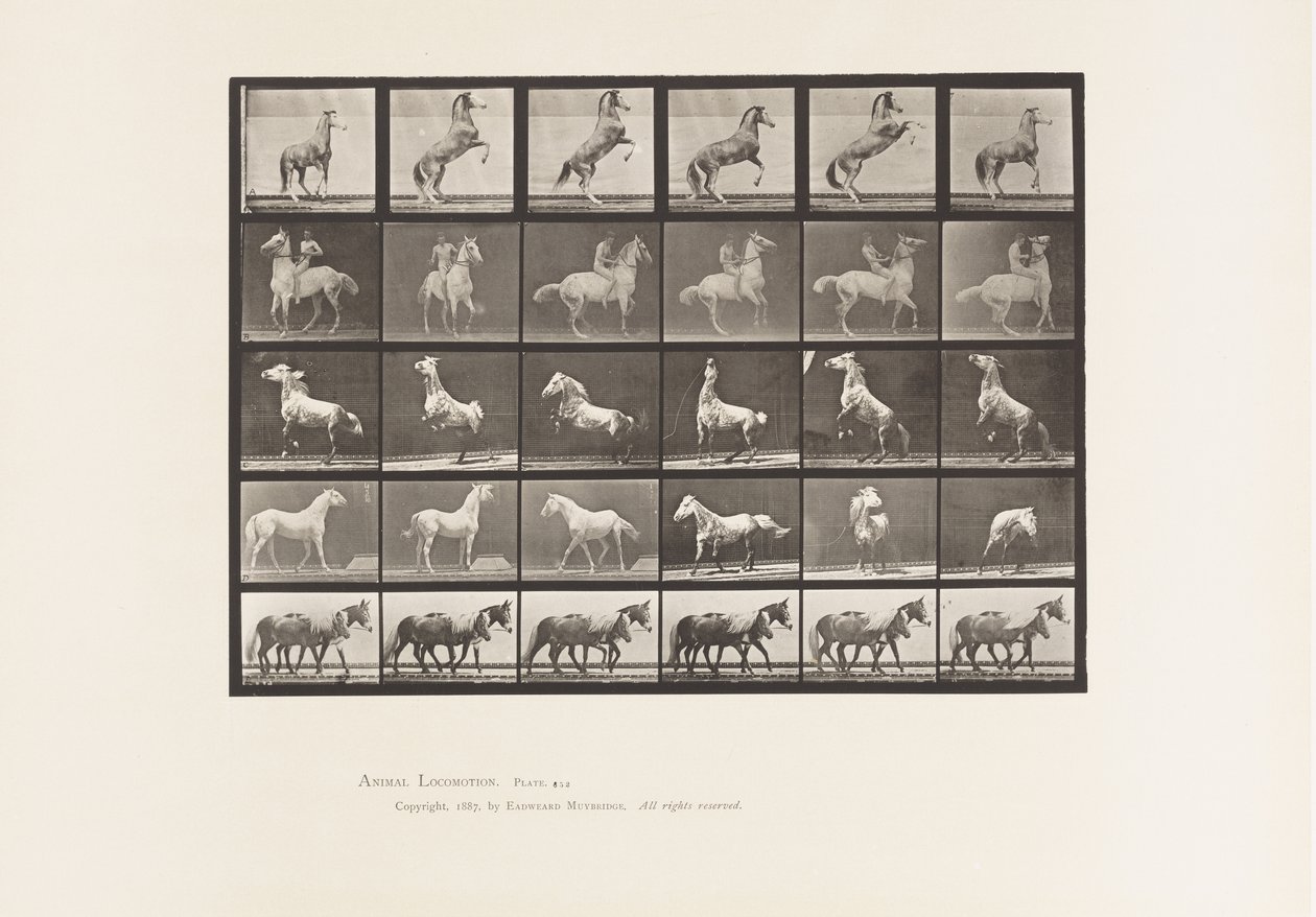 Piastra 652. A, B, C, D, E, Cavalli che si impennano, ecc. da Eadweard Muybridge