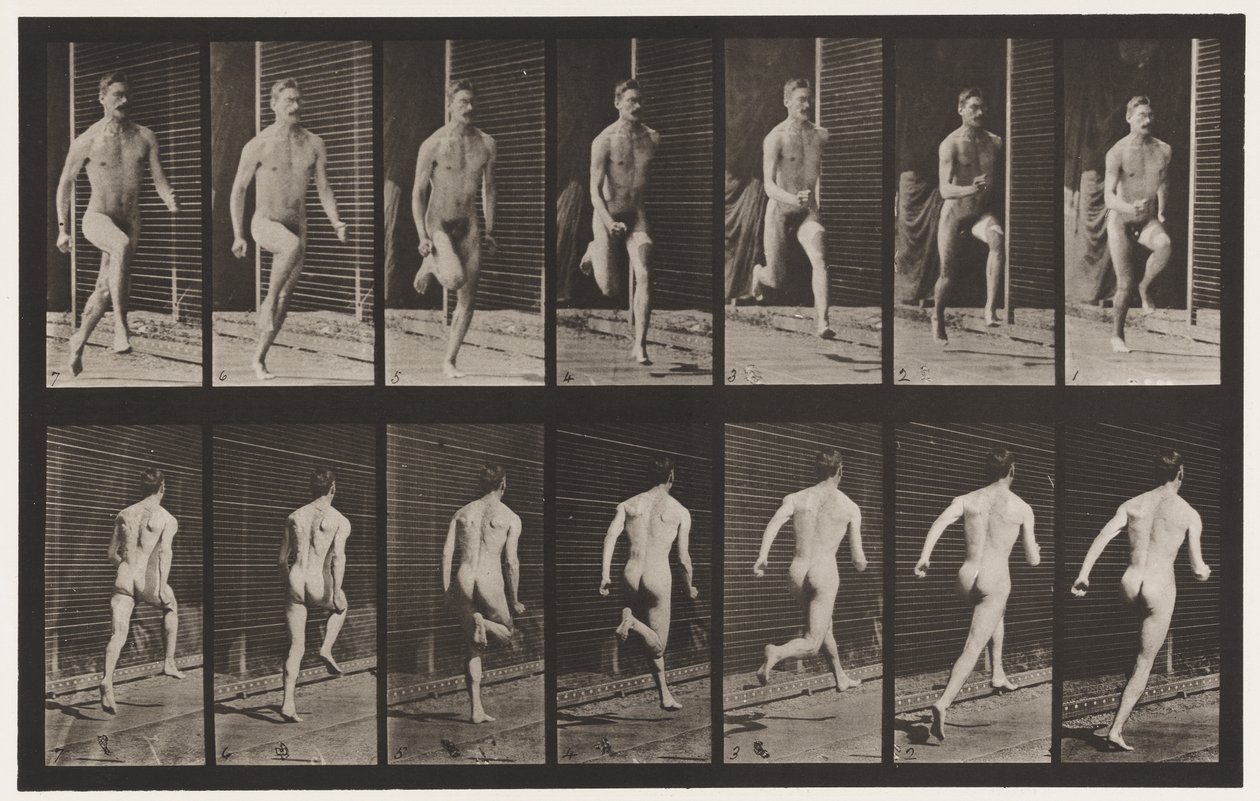 Tavola 66. Corsa da Eadweard Muybridge