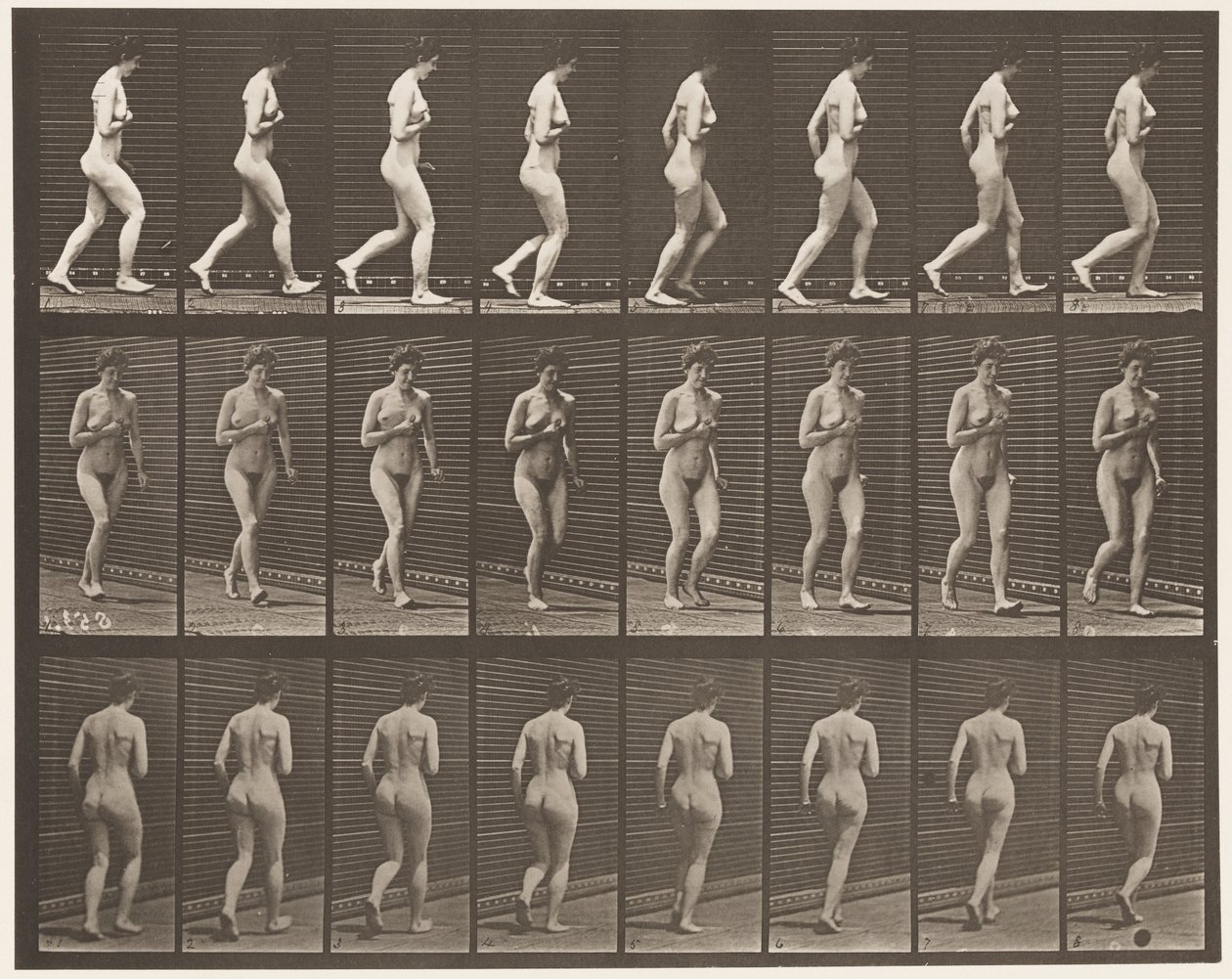 Tavola 70. Correre da Eadweard Muybridge