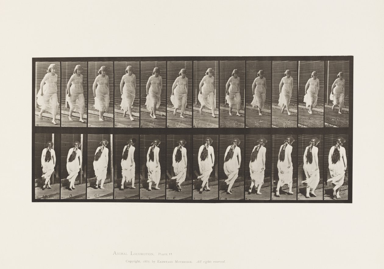 Tavola 71. Correre, 1885 da Eadweard Muybridge