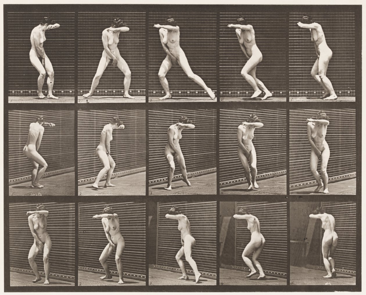 Tavola 73. Girarsi di sorpresa e scappare da Eadweard Muybridge