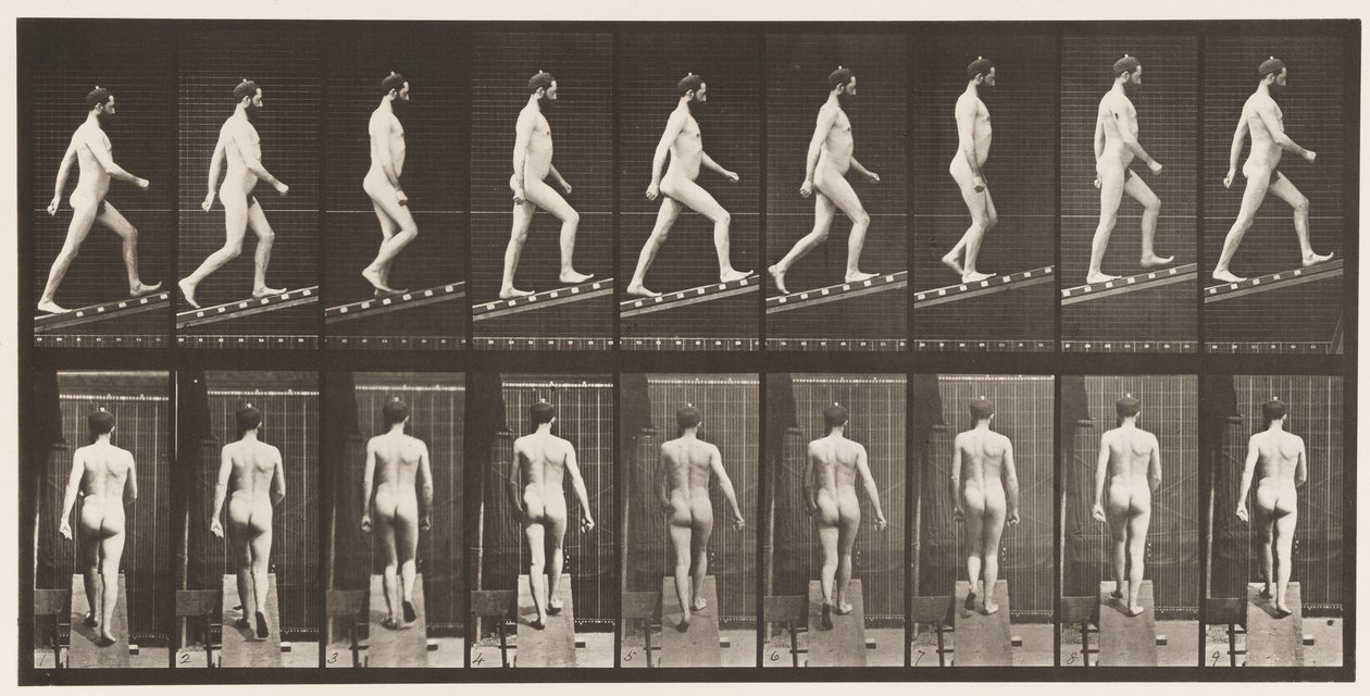 Tavola 75. Salire una pendenza, angolo 1 su 4 da Eadweard Muybridge