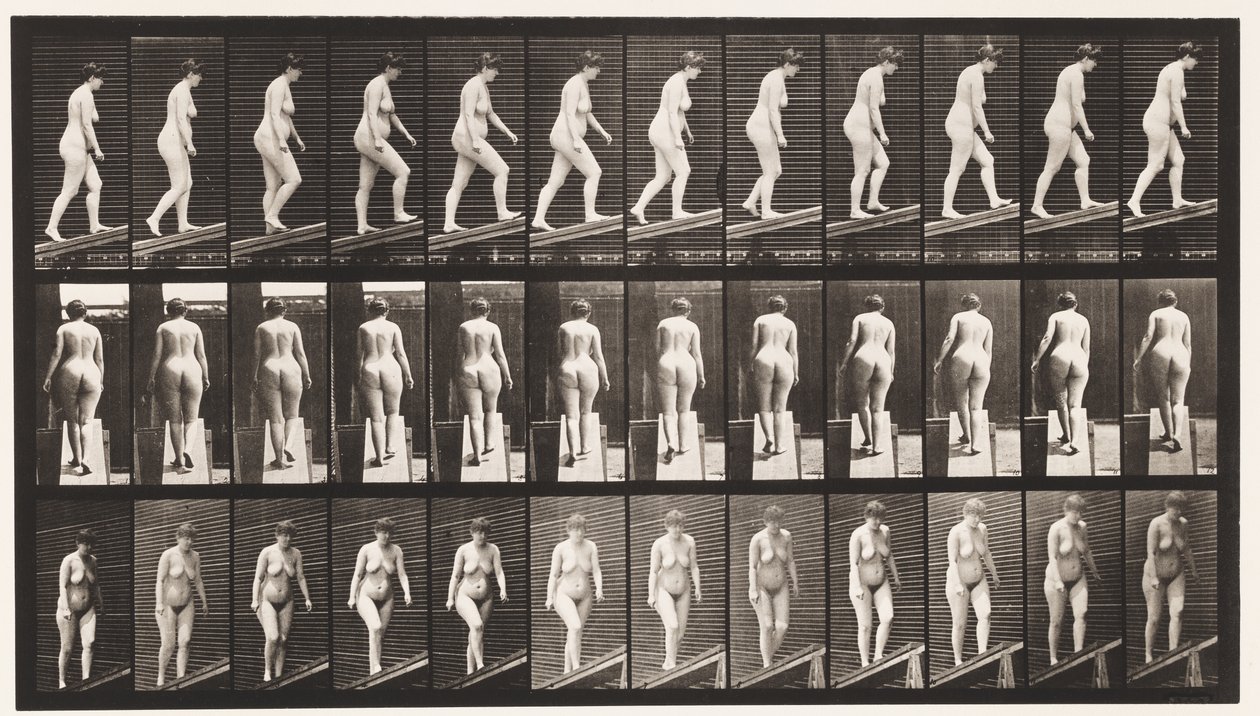 Salire una pendenza (tavola 77) da Eadweard Muybridge