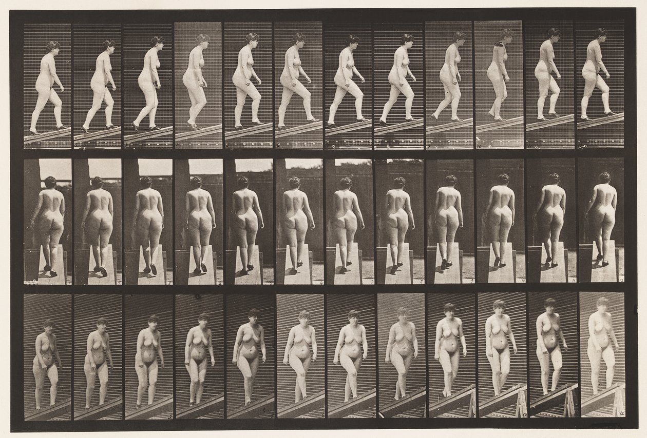 Salire una pendenza da Eadweard Muybridge