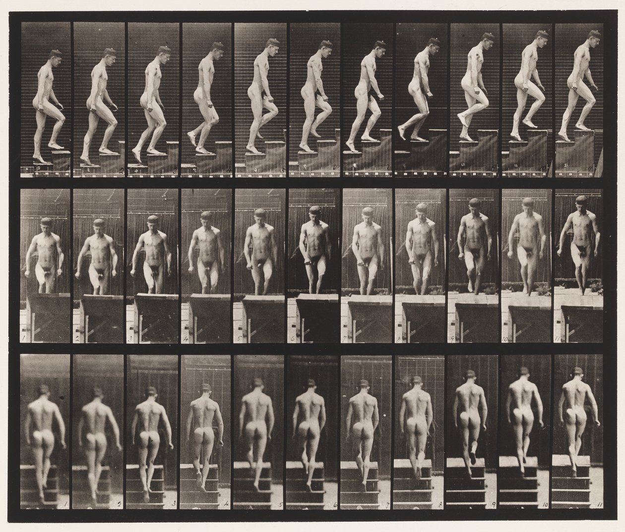 Tavola 88. Salire le scale da Eadweard Muybridge