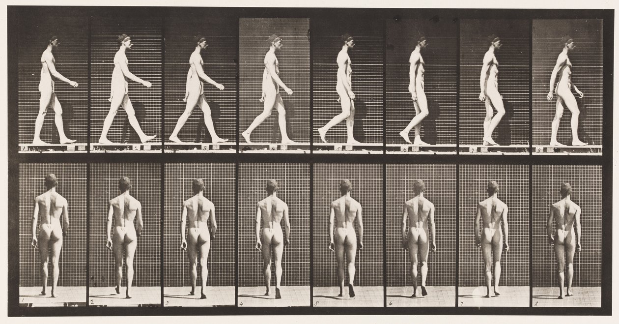Piatto 8. Camminando da Eadweard Muybridge