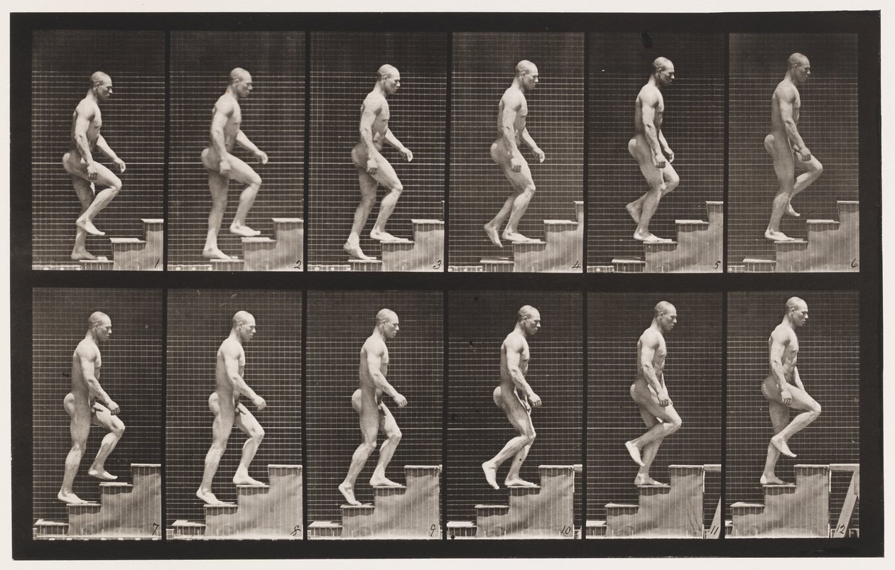 Tavola 91. Salita delle scale da Eadweard Muybridge