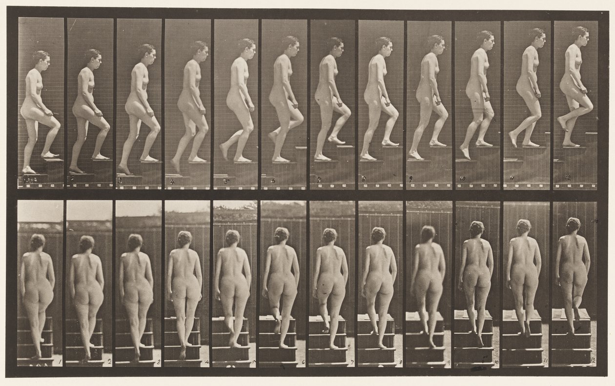 Piatto 92. Salendo le scale da Eadweard Muybridge