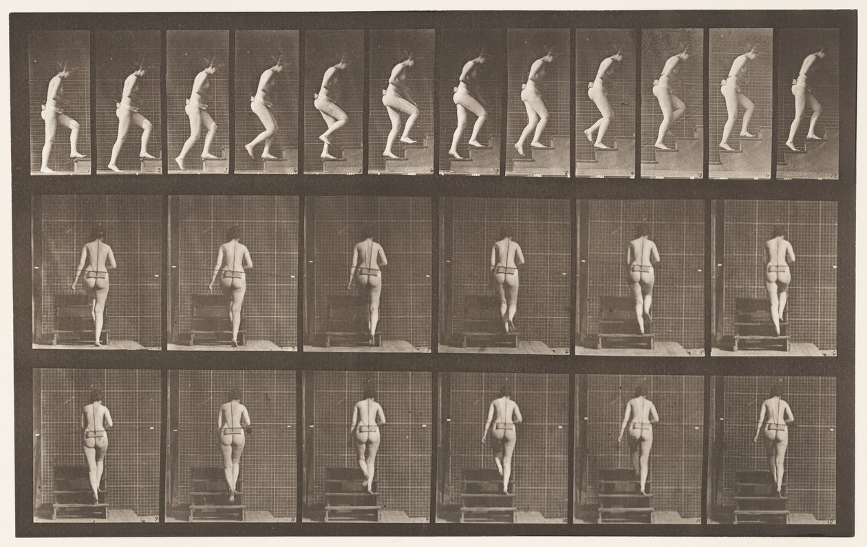 Piastra 93. Salire le scale da Eadweard Muybridge