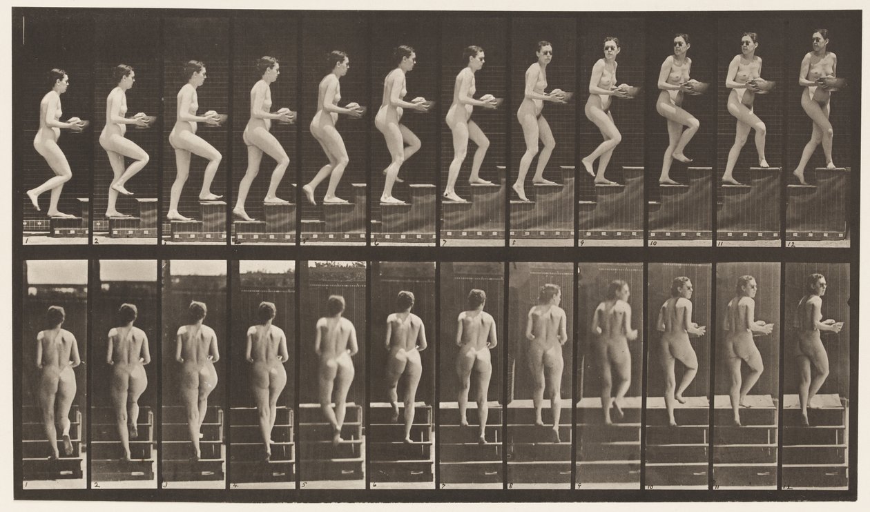 Tavola 94. Salire le scale guardandosi intorno; Bacino in mano da Eadweard Muybridge