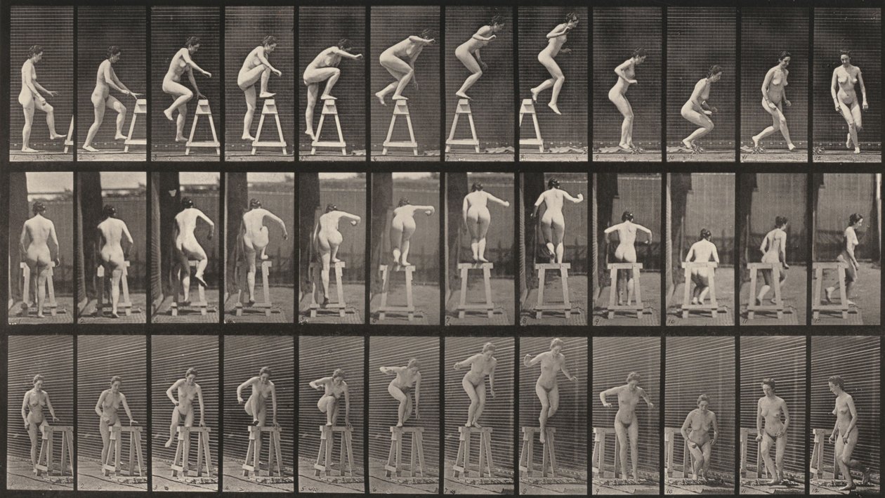 Tavola numero 171. Salire su un cavalletto, saltare giù e girarsi da Eadweard Muybridge