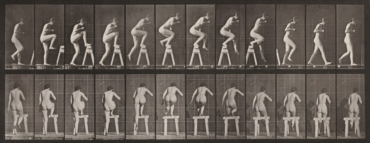 Tavola numero 178. Salire su e oltre un cavalletto da Eadweard Muybridge