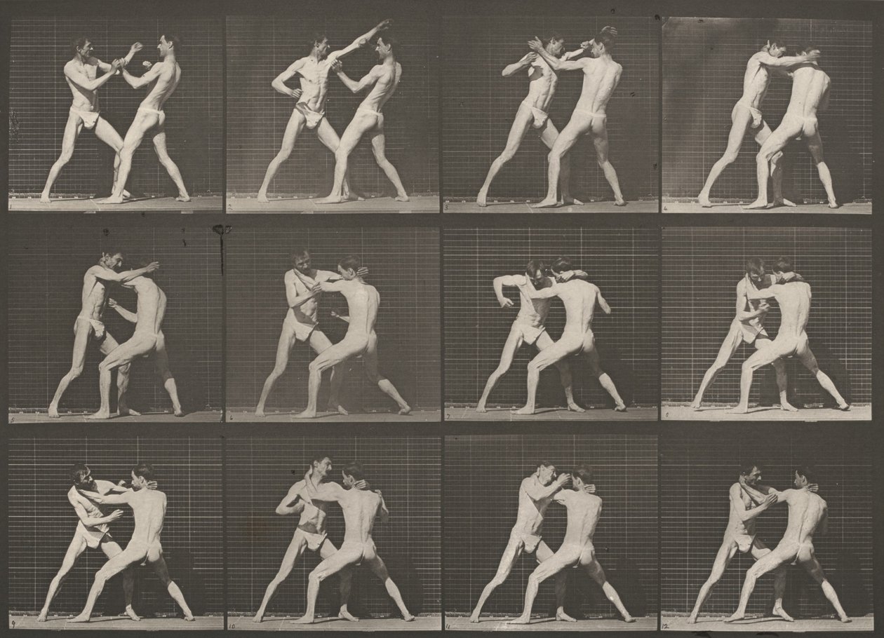 Tavola numero 340. Pugilato, mano aperta da Eadweard Muybridge