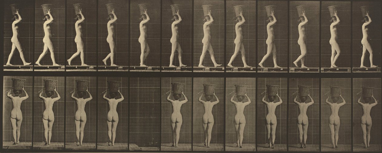 Targa numero 34. Camminando e portando un cesto da 15 libbre sulla testa, con le mani alzate, 1887 (foto) da Eadweard Muybridge
