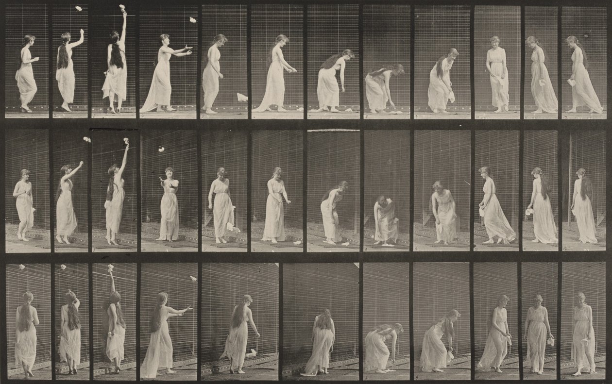 Tavola numero 463. Allungarsi, chinarsi e girarsi da Eadweard Muybridge
