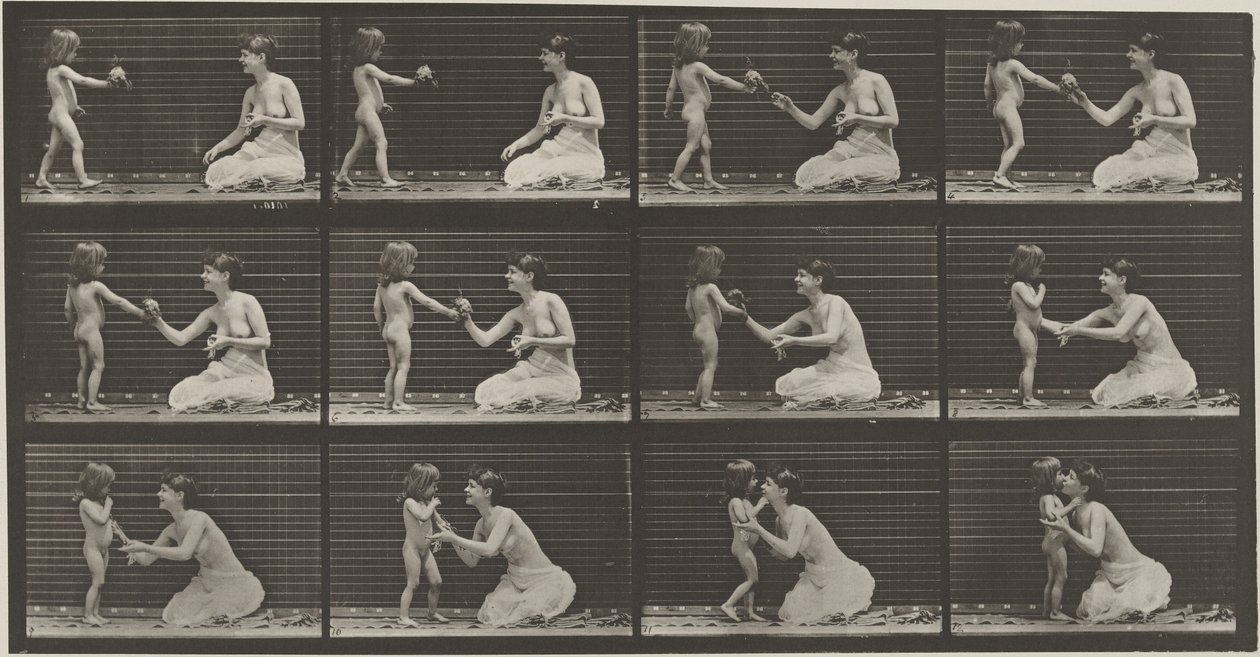 Targa numero 465. Bambino che porta un bouquet a una donna, 1887 (foto) da Eadweard Muybridge