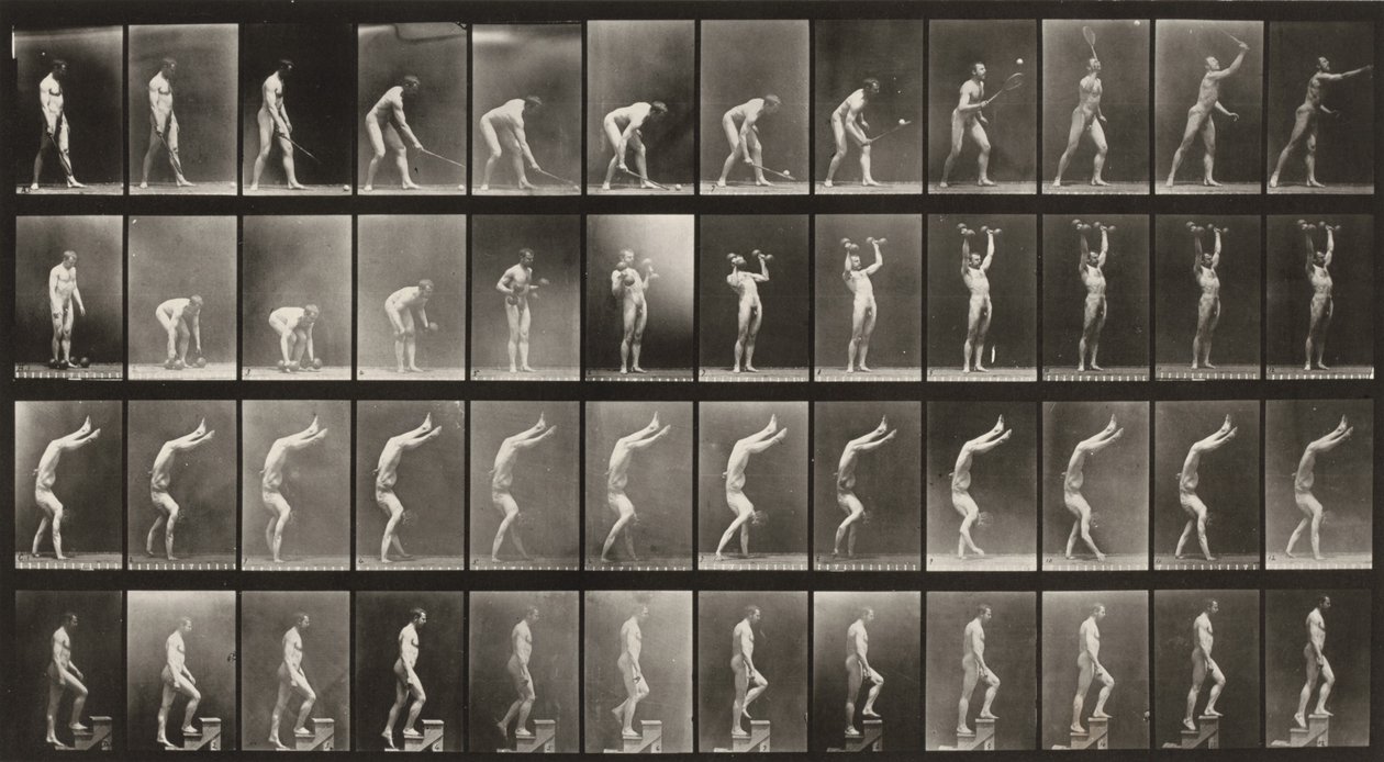 Tavola numero 488. A: Tennis sull