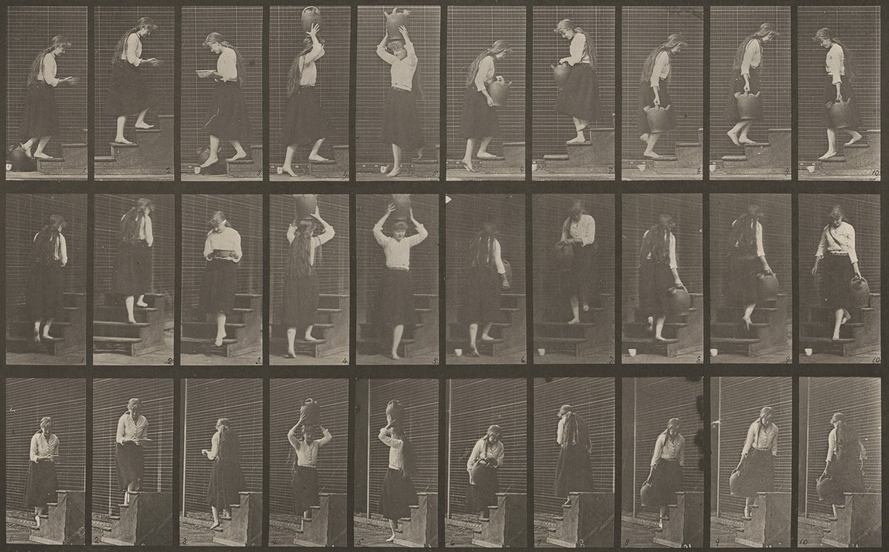 Tavola numero 504. Scale ascendenti e discendenti da Eadweard Muybridge