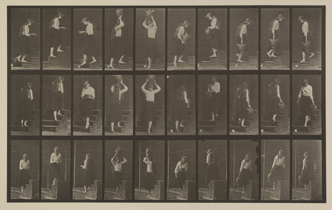 Tavola numero 504. Scale ascendenti e discendenti da Eadweard Muybridge