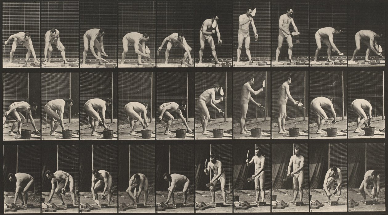 Targa numero 506. Muratura, 1887 (foto) da Eadweard Muybridge