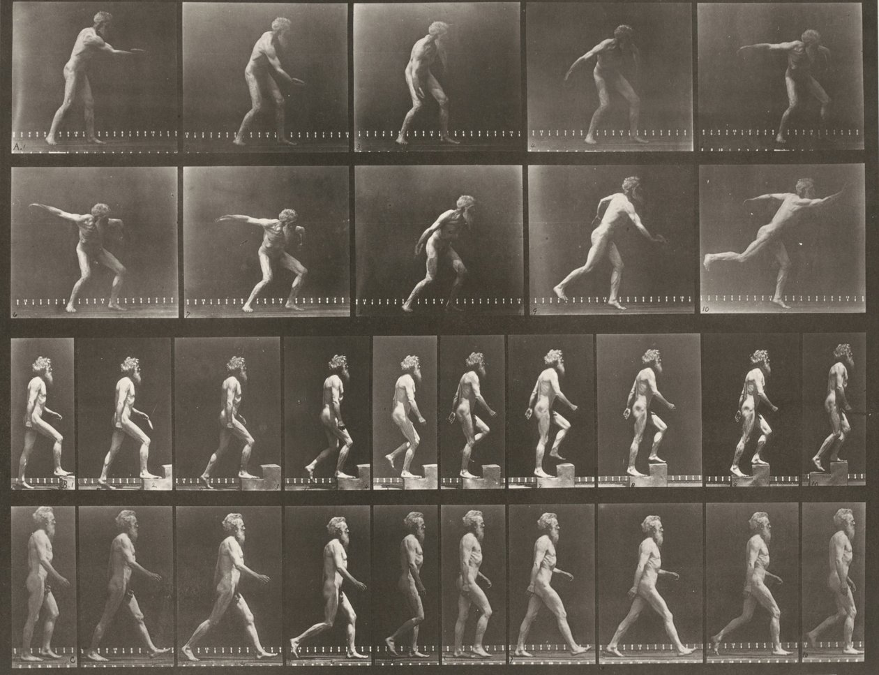 Tavola numero 519. A: Lancio di un disco. B: Salita di un gradino. C: Camminare da Eadweard Muybridge